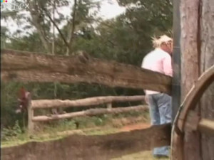 Cowboy and cowgirl having steamy sex fun