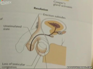 Curious student Adicktion learns about the dick from books and later practices her knowledge