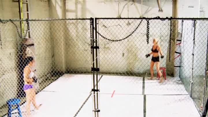 Jessica Drake beating crap out of her boxing parnter Free Porn Videos | ePornAny.