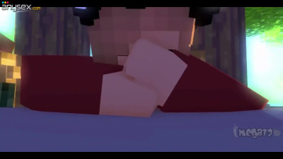 Minecraft porn cartoon with blowjob in public