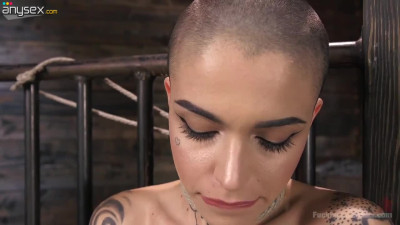 Bald headed babe Leigh Raven is testing insatiable wet cunt in the BDSM room