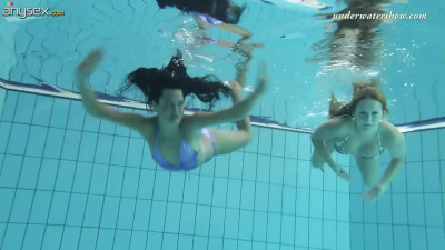 Hovering naked bodies of sexy babes under the water