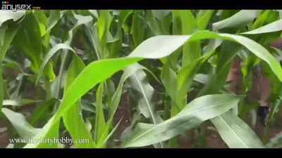 German MILF gives a blowjob and gets fucked in the corn field